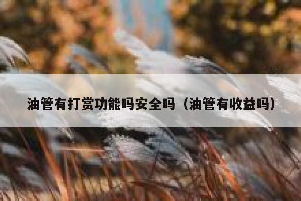 油管有打赏功能吗安全吗（油管有收益吗） 第1张