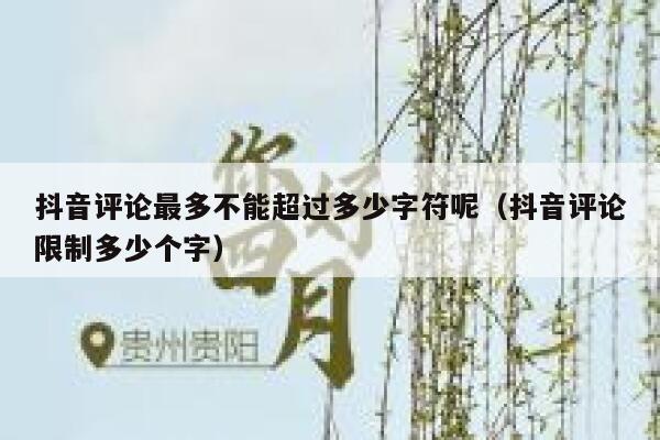 抖音评论最多不能超过多少字符呢（抖音评论限制多少个字） 第1张