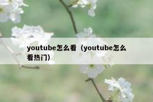 youtube怎么看（youtube怎么看热门） 第1张