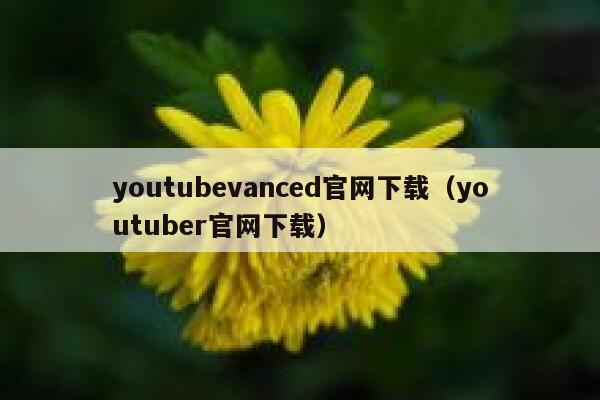 youtubevanced官网下载（youtuber官网下载） 第1张