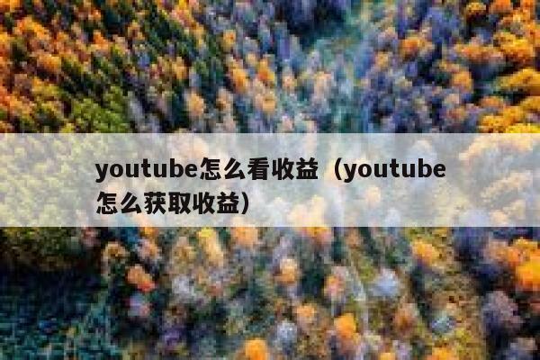 youtube怎么看收益（youtube怎么获取收益） 第1张