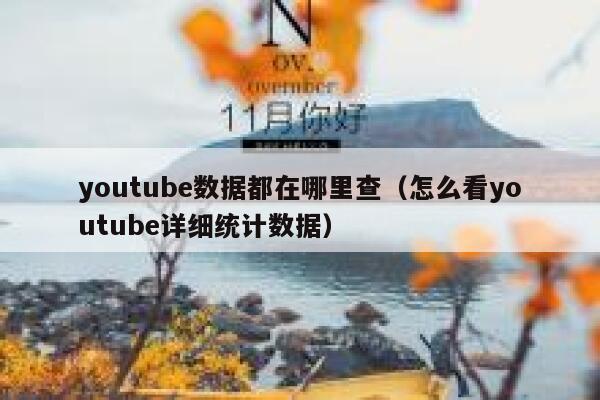 youtube数据都在哪里查（怎么看youtube详细统计数据） 第1张