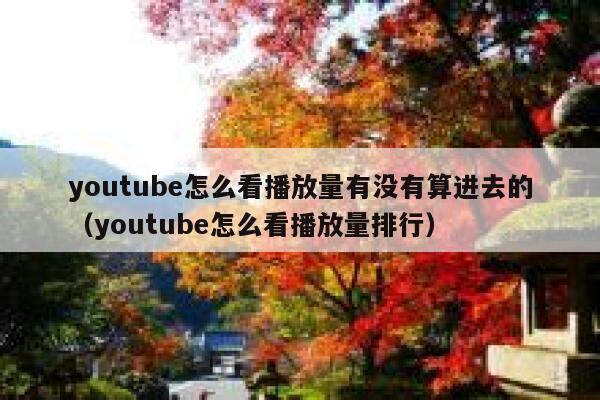 youtube怎么看播放量有没有算进去的（youtube怎么看播放量排行） 第1张