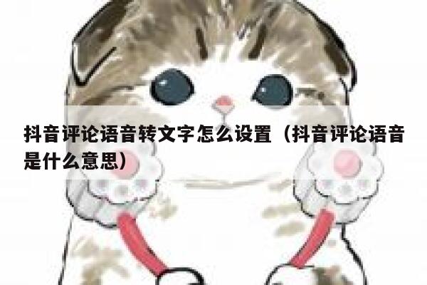 抖音评论语音转文字怎么设置（抖音评论语音是什么意思） 第1张