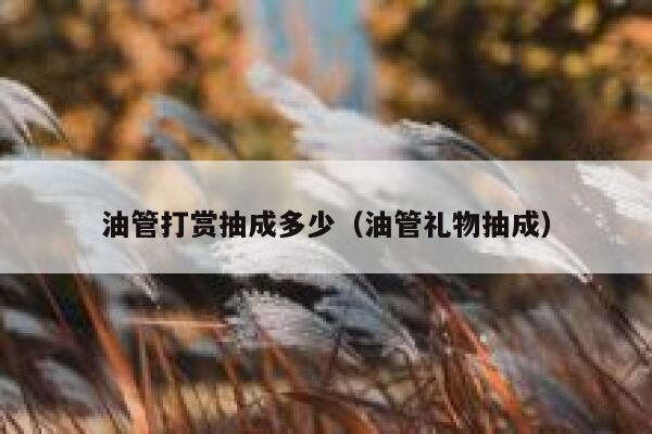 油管打赏抽成多少（油管礼物抽成） 第1张
