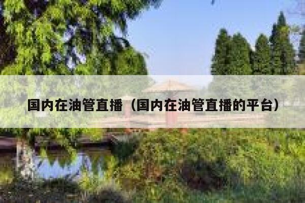 国内在油管直播（国内在油管直播的平台） 第1张