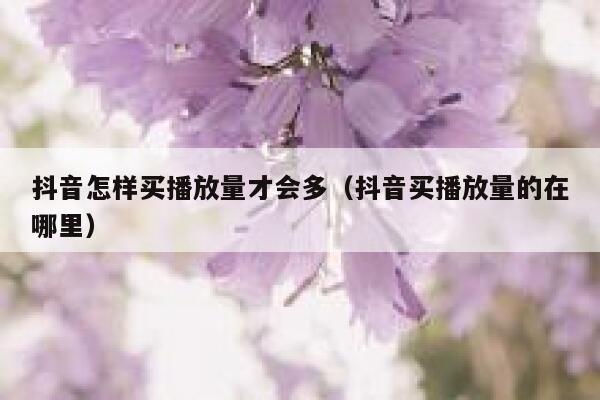 抖音怎样买播放量才会多（抖音买播放量的在哪里） 第1张