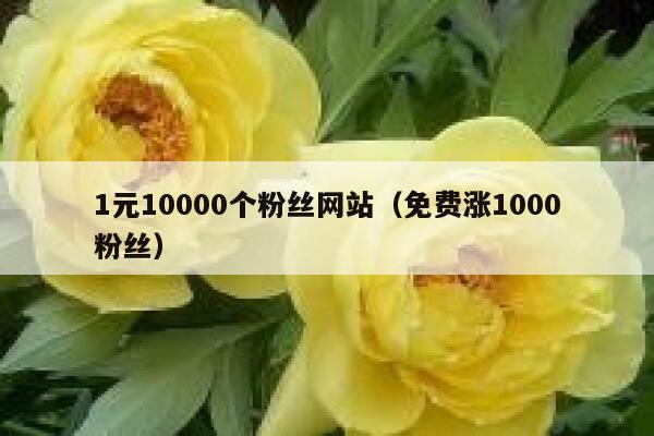 1元10000个粉丝网站（免费涨1000粉丝） 第1张