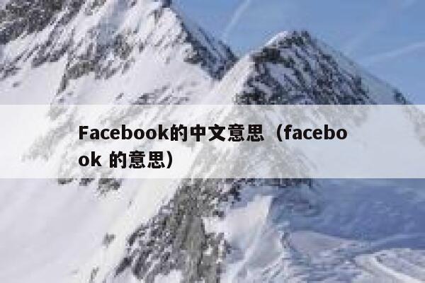 Facebook的中文意思（facebook 的意思） 第1张