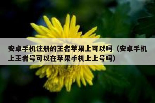 安卓手机注册的王者苹果上可以吗（安卓手机上王者号可以在苹果手机上上号吗） 第1张