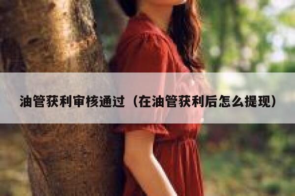 油管获利审核通过（在油管获利后怎么提现） 第1张