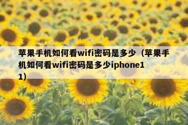 苹果手机如何看wifi密码是多少（苹果手机如何看wifi密码是多少iphone11） 第1张