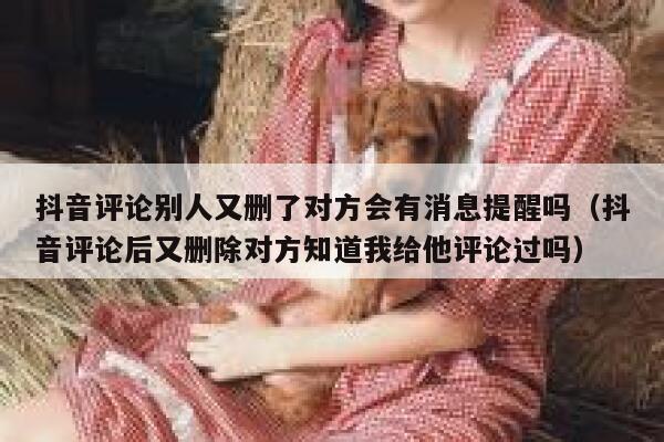 抖音评论别人又删了对方会有消息提醒吗（抖音评论后又删除对方知道我给他评论过吗） 第1张