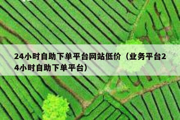 24小时自助下单平台网站低价（业务平台24小时自助下单平台） 第1张