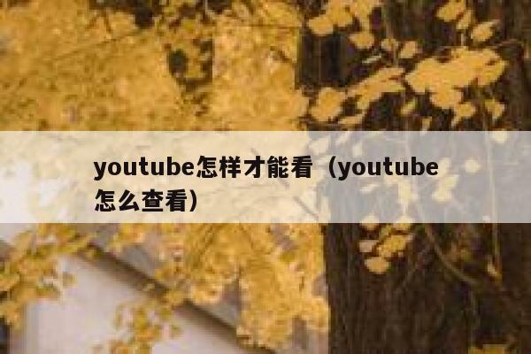 youtube怎样才能看（youtube怎么查看） 第1张