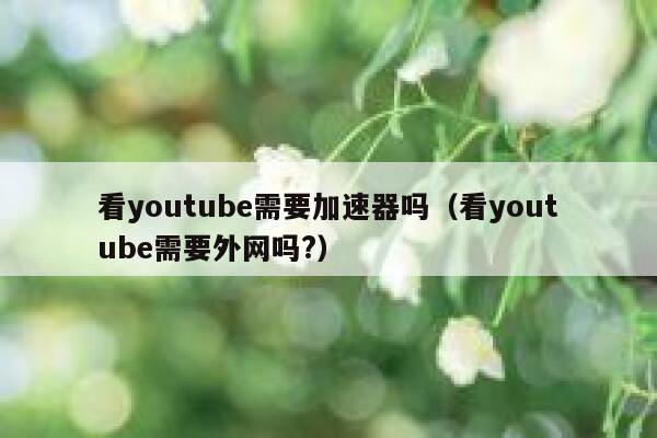 看youtube需要加速器吗（看youtube需要外网吗?） 第1张