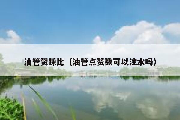 油管赞踩比（油管点赞数可以注水吗） 第1张