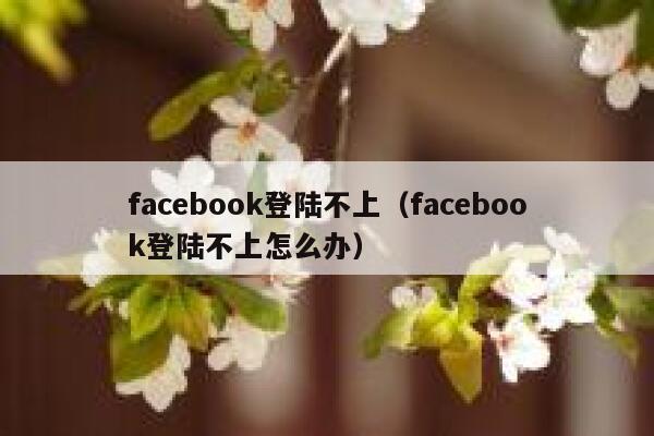 facebook登陆不上（facebook登陆不上怎么办） 第1张