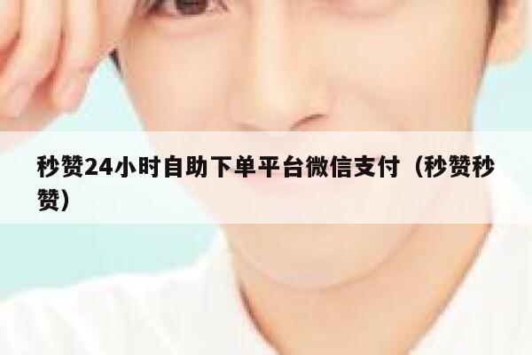 秒赞24小时自助下单平台微信支付（秒赞秒赞） 第1张