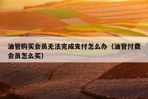 油管购买会员无法完成支付怎么办（油管付费会员怎么买） 第1张