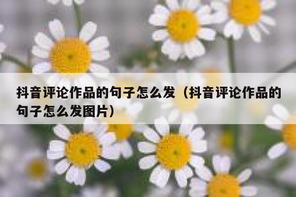 抖音评论作品的句子怎么发（抖音评论作品的句子怎么发图片） 第1张