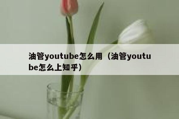 油管youtube怎么用（油管youtube怎么上知乎） 第1张