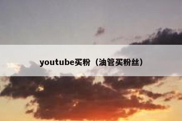 youtube买粉（油管买粉丝） 第1张