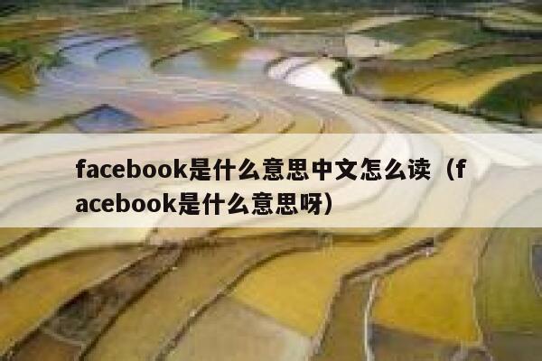 facebook是什么意思中文怎么读（facebook是什么意思呀） 第1张