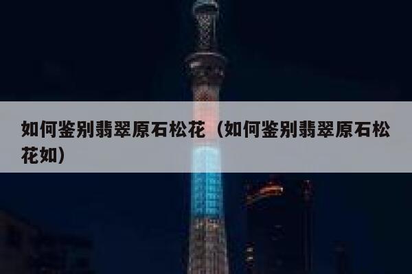 如何鉴别翡翠原石松花(如何鉴别翡翠原石松花如) 第1张 如何鉴别翡翠原石松花(如何鉴别翡翠原石松花如) 第1张