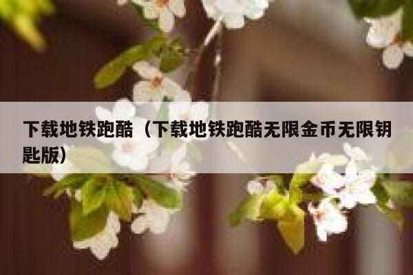 下载地铁跑酷（下载地铁跑酷无限金币无限钥匙版） 第1张