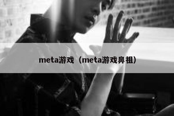 meta游戏（meta游戏鼻祖） 第1张