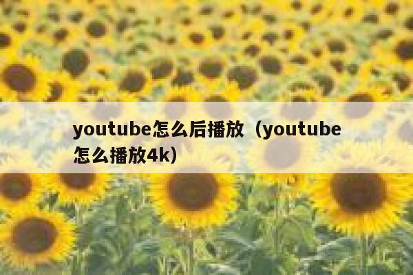 youtube怎么后播放（youtube怎么播放4k） 第1张