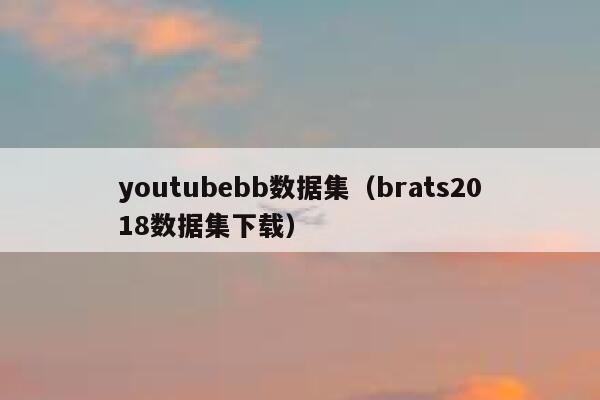 youtubebb数据集（brats2018数据集下载） 第1张