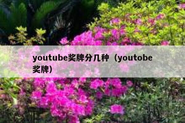 youtube奖牌分几种(youtobe奖牌) 第1张 youtube奖牌分几种(youtobe奖牌) 第1张