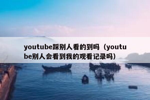 youtube踩别人看的到吗（youtube别人会看到我的观看记录吗） 第1张