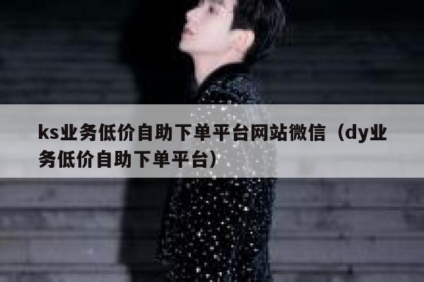 ks业务低价自助下单平台网站微信（dy业务低价自助下单平台） 第1张