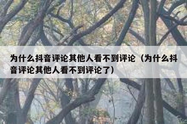 为什么抖音评论其他人看不到评论（为什么抖音评论其他人看不到评论了） 第1张