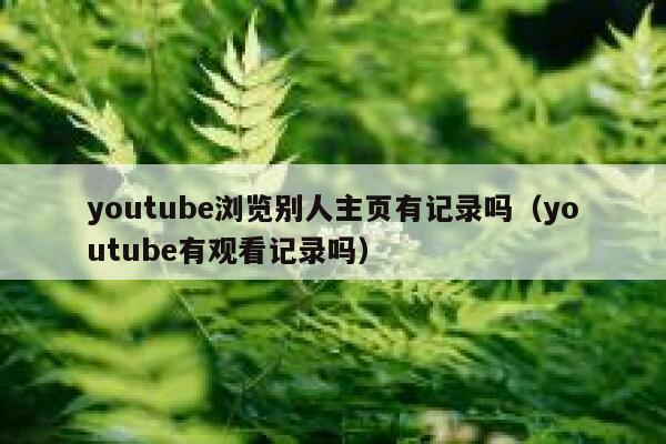 youtube浏览别人主页有记录吗（youtube有观看记录吗） 第1张