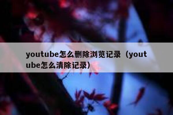 youtube怎么删除浏览记录（youtube怎么清除记录） 第1张