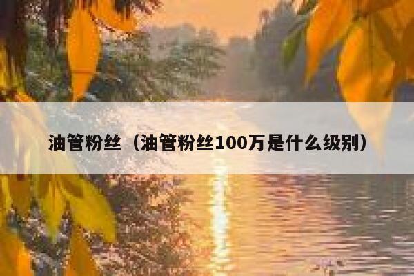 油管粉丝（油管粉丝100万是什么级别） 第1张