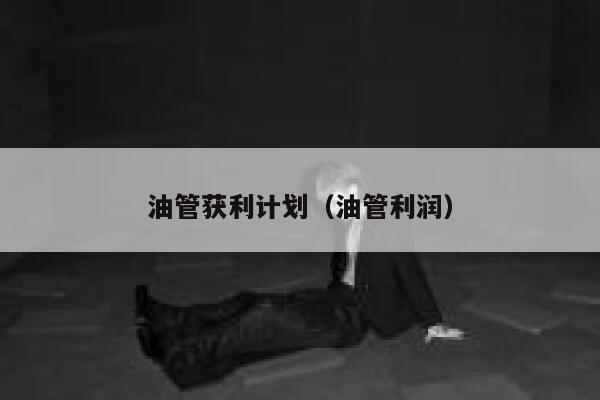 油管获利计划（油管利润） 第1张