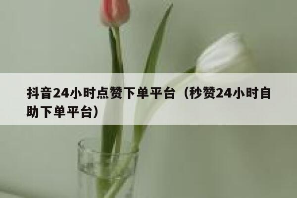 抖音24小时点赞下单平台（秒赞24小时自助下单平台） 第1张