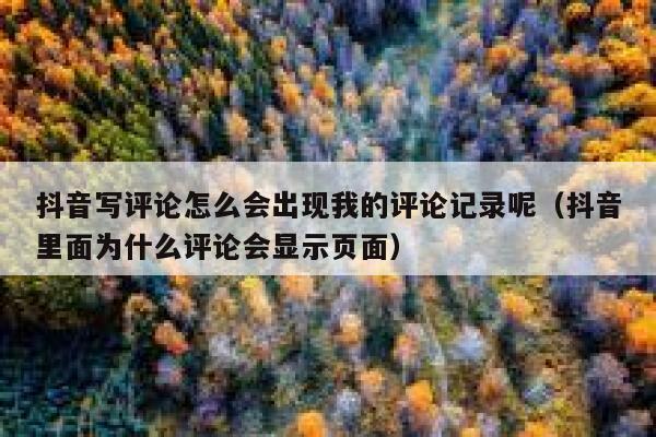 抖音写评论怎么会出现我的评论记录呢（抖音里面为什么评论会显示页面） 第1张