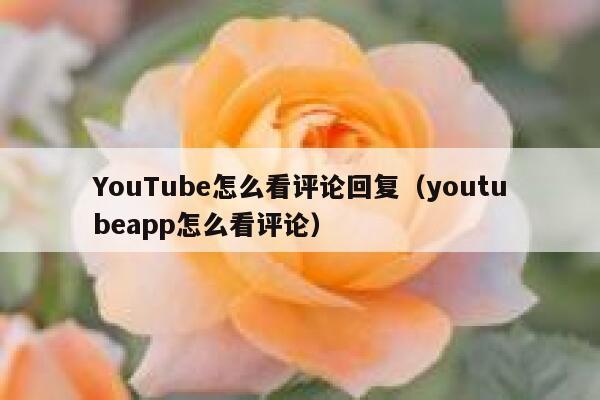 YouTube怎么看评论回复（youtubeapp怎么看评论） 第1张