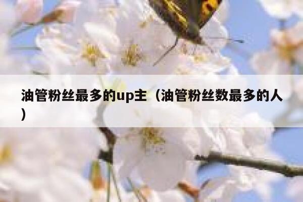 油管粉丝最多的up主（油管粉丝数最多的人） 第1张