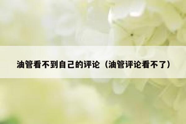 油管看不到自己的评论（油管评论看不了） 第1张
