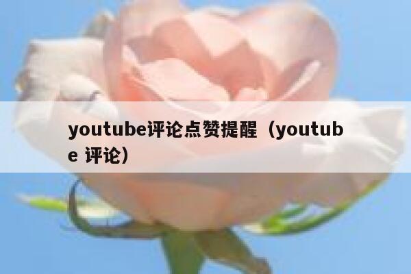 youtube评论点赞提醒（youtube 评论） 第1张