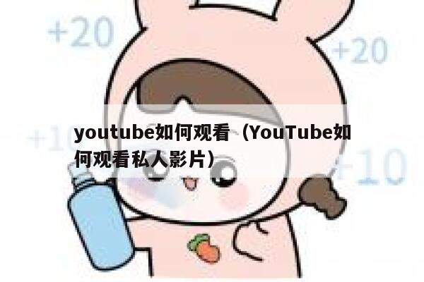 youtube如何观看（YouTube如何观看私人影片） 第1张