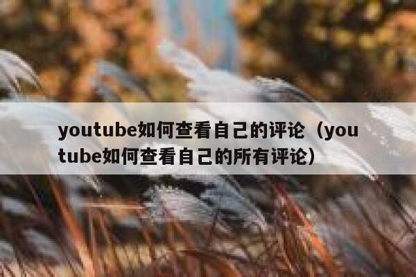 youtube如何查看自己的评论（youtube如何查看自己的所有评论） 第1张