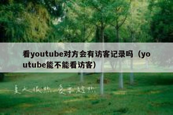 看youtube对方会有访客记录吗（youtube能不能看访客） 第1张